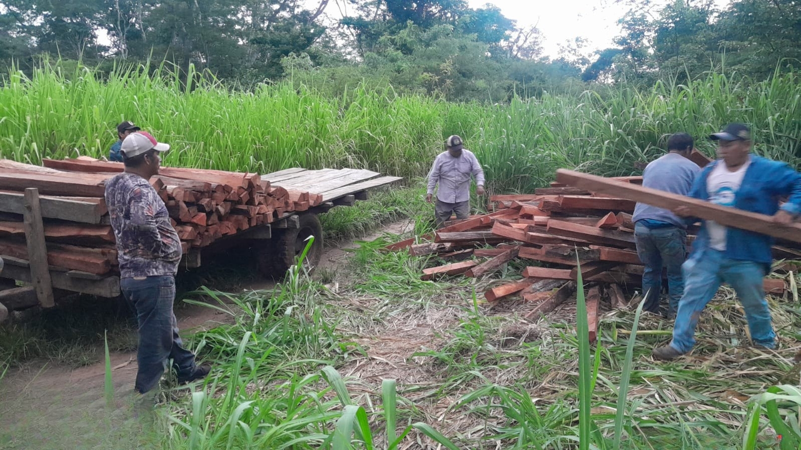 ABT INTENSIFICA CONTROLES EN SANTA CRUZ PARA COMBATIR TRANSPORTE ILEGAL DE PRODUCTOS FORESTALES